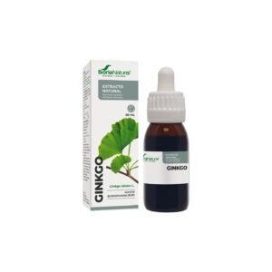 Extracto de Ginkgo Soria Natural